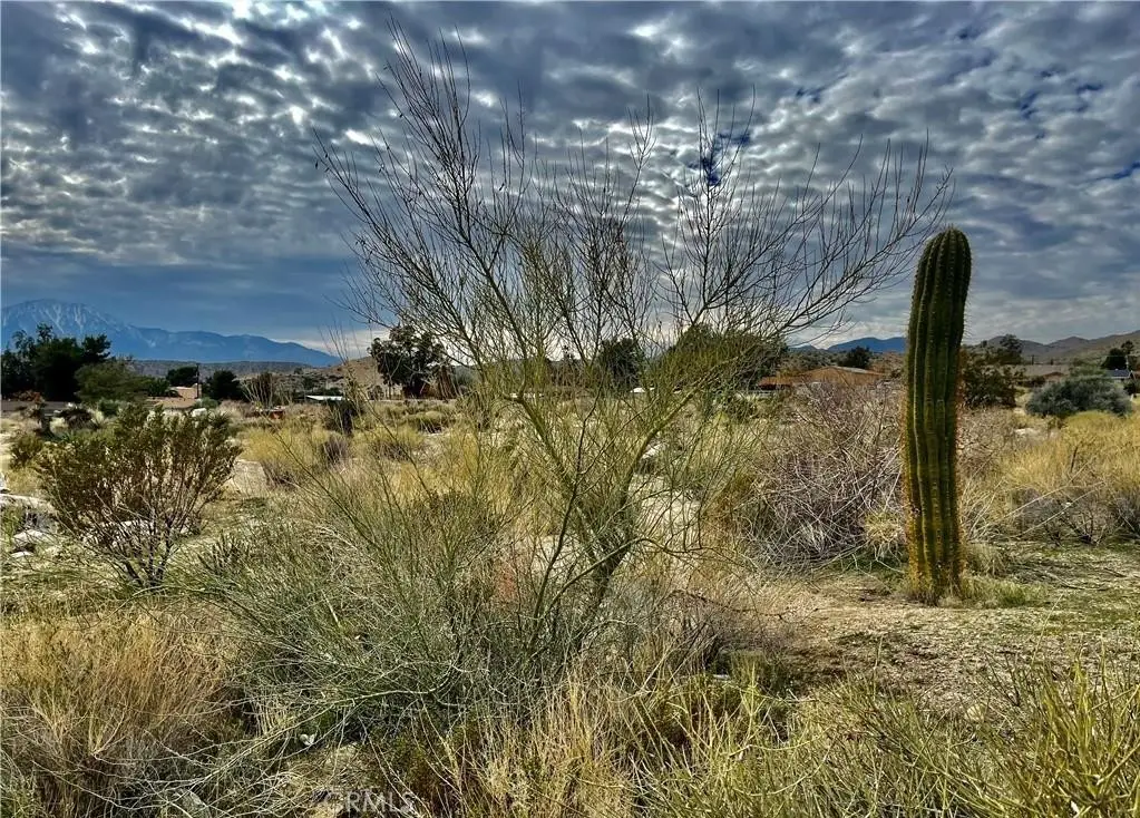 11040 Mescalero Avenue, Morongo Valley, CA 92256 - Image #1