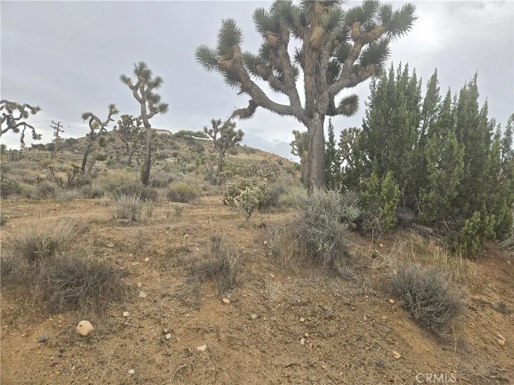 54763 Twentynine Palms, Yucca Valley, CA 92284 - Image #1