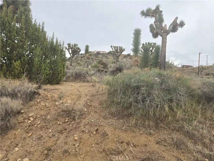 54763 Twentynine Palms, Yucca Valley, CA 92284 - Image #2