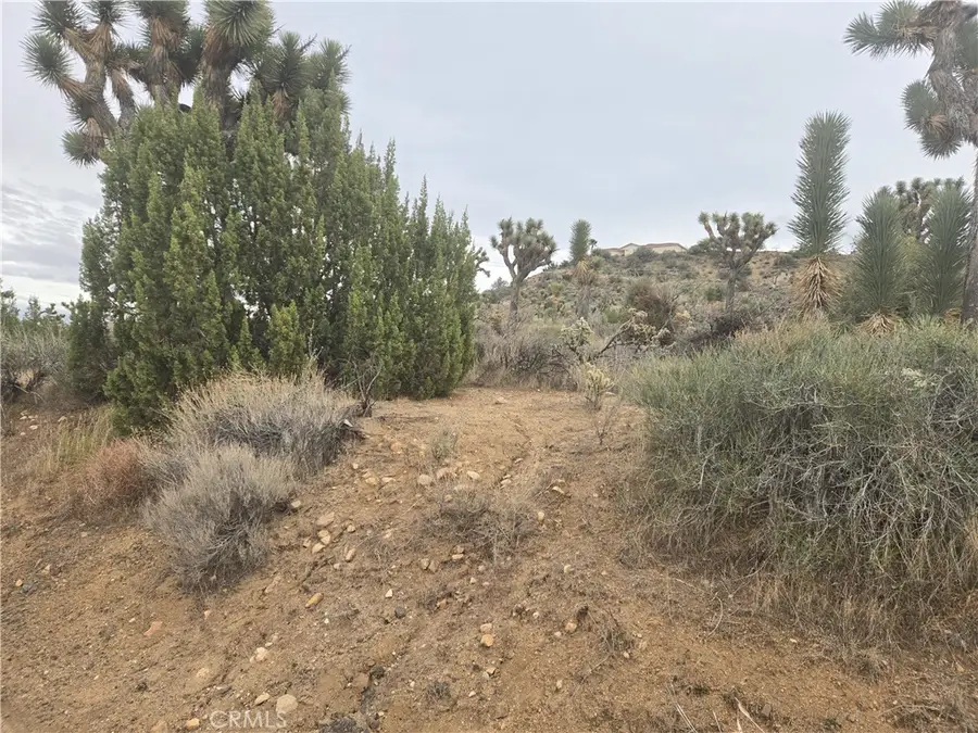 54763 Twentynine Palms, Yucca Valley, CA 92284 - Image #3