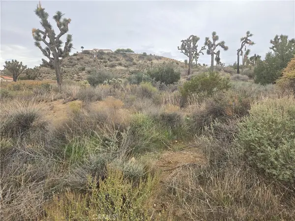 54777 Twentynine Palms, Yucca Valley, CA 92284