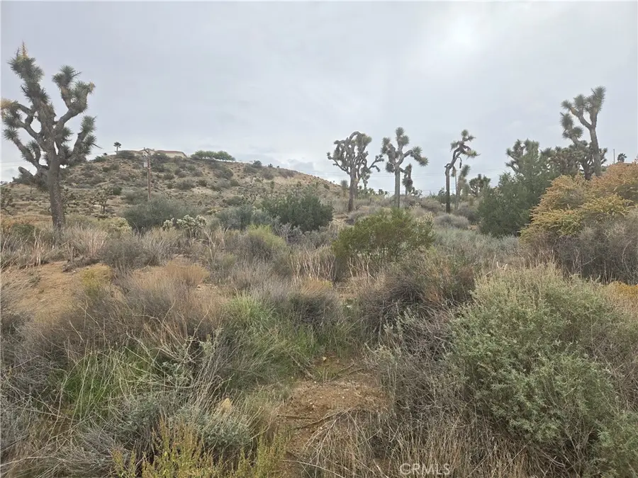 54777 Twentynine Palms, Yucca Valley, CA 92284 - Image #2