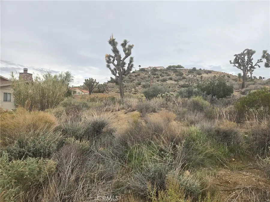 54777 Twentynine Palms, Yucca Valley, CA 92284 - Image #3
