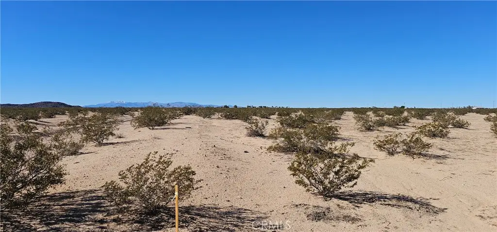 66356 Sonora, Joshua Tree, CA 92252 - Image #1