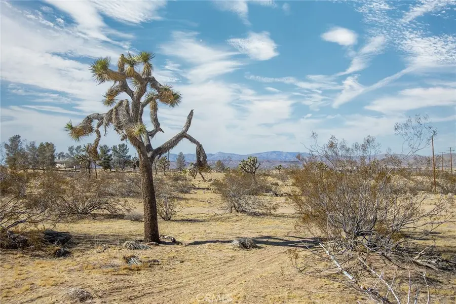 4 Burke Road, Landers, CA 92285 - Image #2