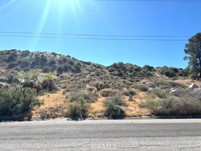 54025 Ridge Road, Yucca Valley, CA 92284 - #2