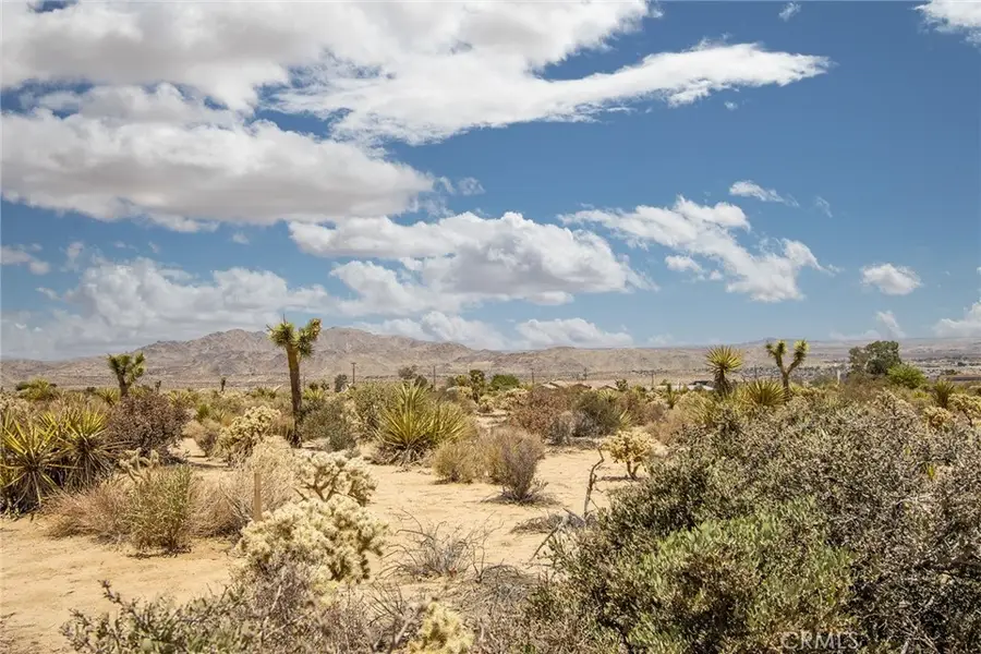 61246 Melton Trail, Joshua Tree, CA 92252 - #2