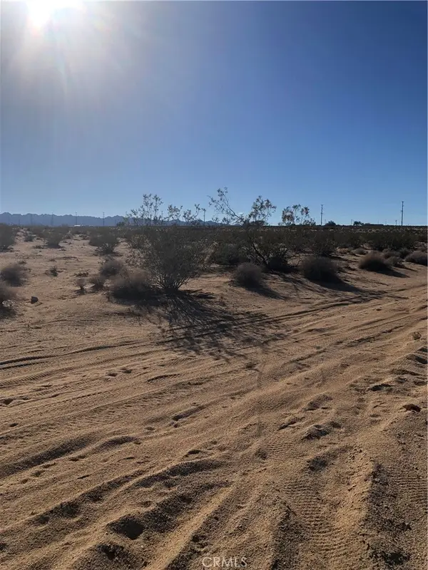 1 Pampas, 29 Palms, CA 92277