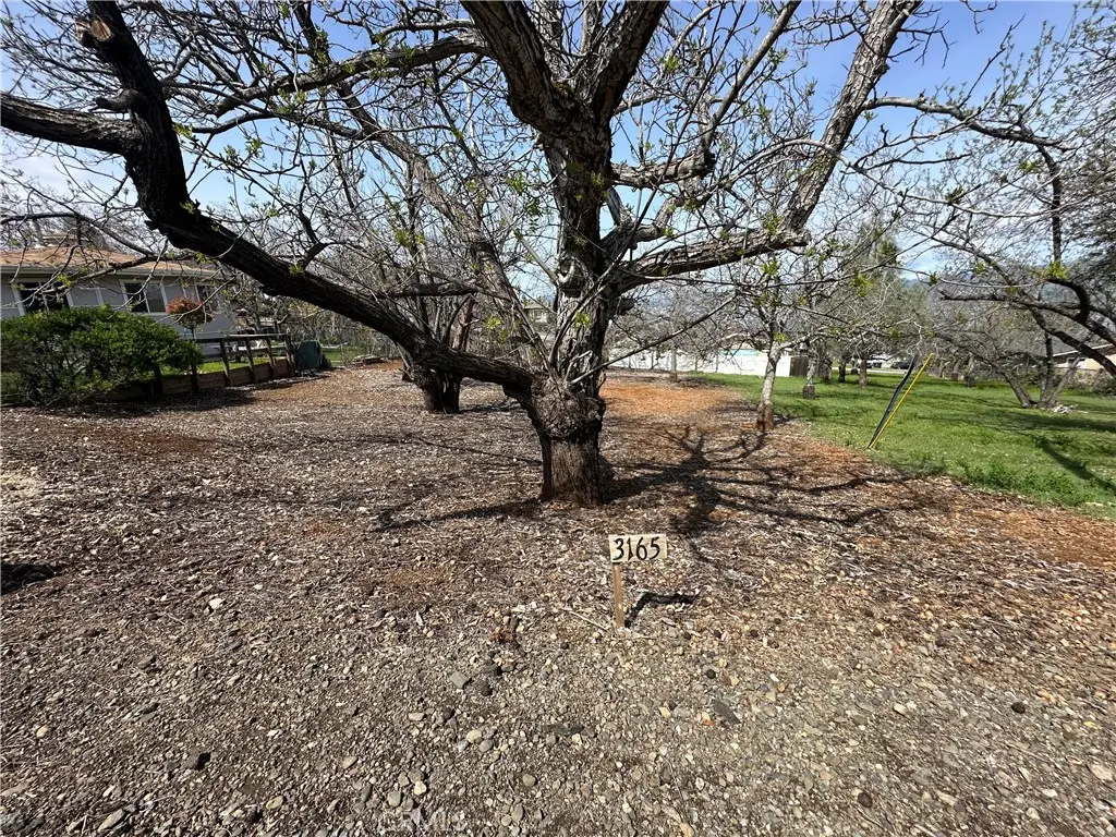 3165 Marina View Drive, Kelseyville, CA 95451 - #1