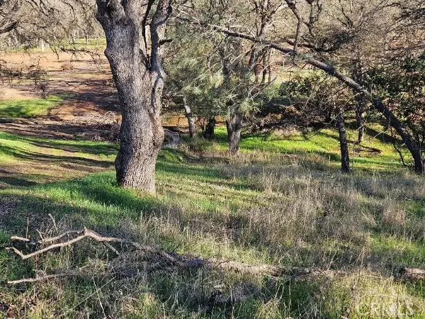 16277 42nd Avenue, Clearlake, CA 95422