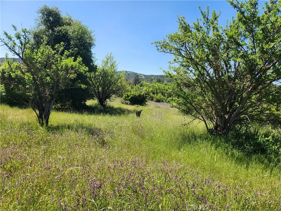 14241 Mcbride Court, Clearlake Oaks, CA 95423 - #2