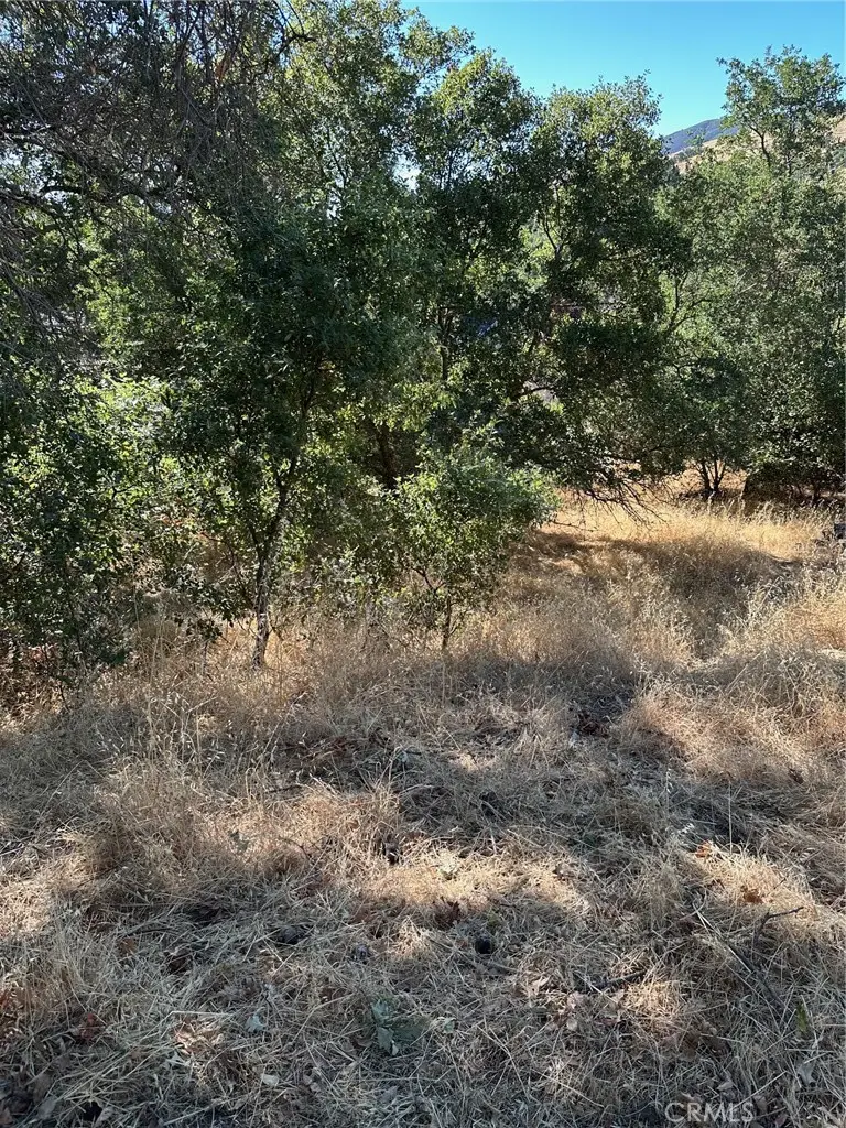 4219 Windsor Way, Lucerne, CA 95458 - #1