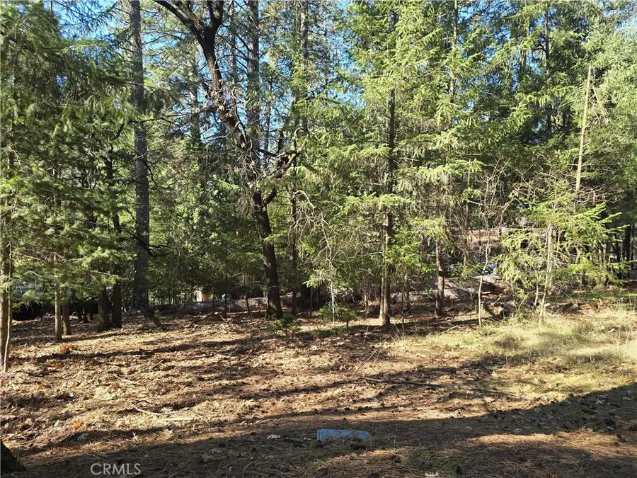 16303 Niblick, Cobb, CA 95426 - #2