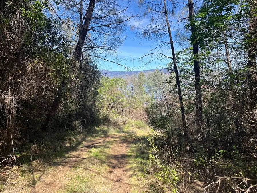 6189 Soda Bay, Kelseyville, CA 95451 - #3