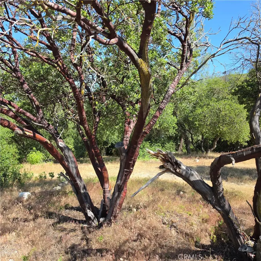 3367 3rd Street, Clearlake, CA 95422 - #1
