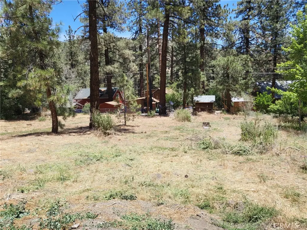 1322 Edna Street, Wrightwood, CA 92887 - Image #1