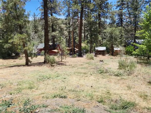 1322 Edna Street, Wrightwood, CA 92887