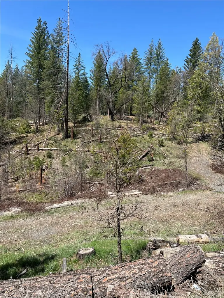 6493 Greeley Hill Road, Coulterville, CA 95311 - #1