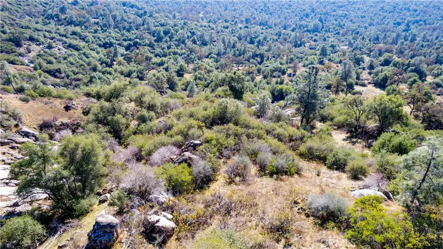 4658 Little Bear, Mariposa, CA 95338 - #2