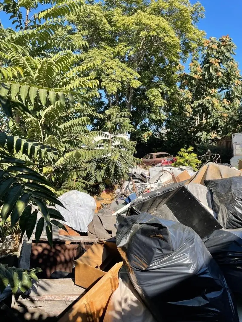 914 Harliss Avenue, San Jose, CA 95110 - Image #2