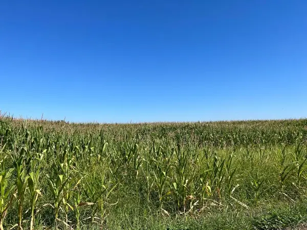 20444 S Lammers Road, Tracy, CA 95304