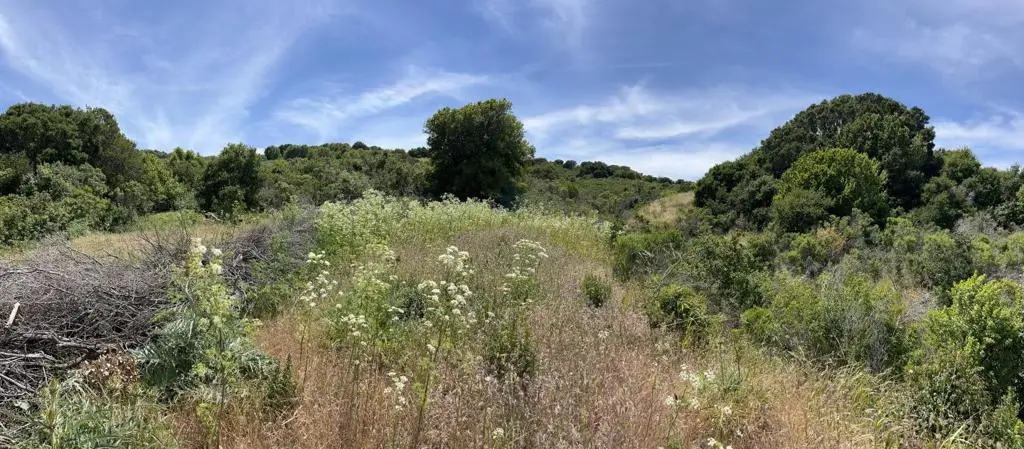 0 Knobcone Drive, Richmond, CA 94803 - #1