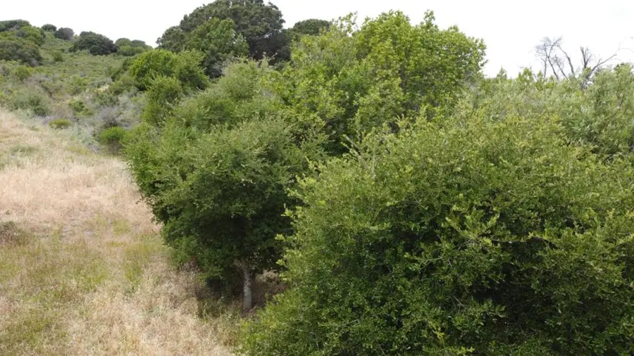 0 Knobcone Drive, Richmond, CA 94803 - #3