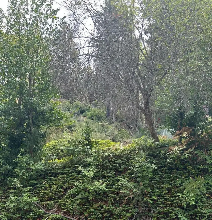 133 Lake Drive, Boulder Creek, CA 95006 - Image #3