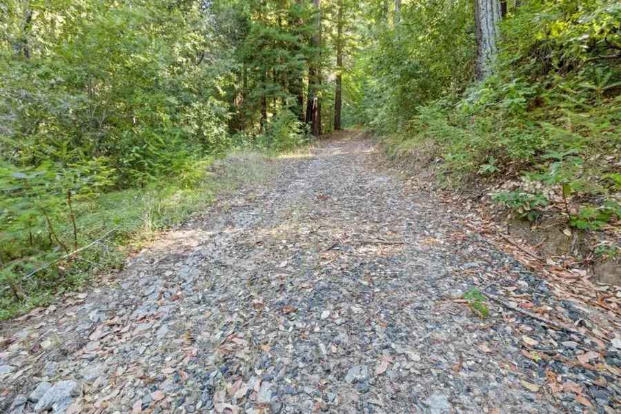 19900 Kings Creek Road, Boulder Creek, CA 95006 - Image #3