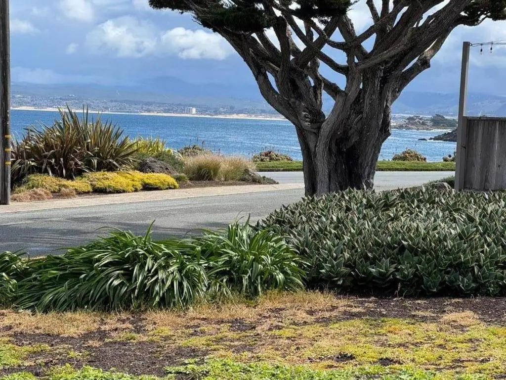 940 Balboa Avenue, Pacific Grove, CA 93950 - #1