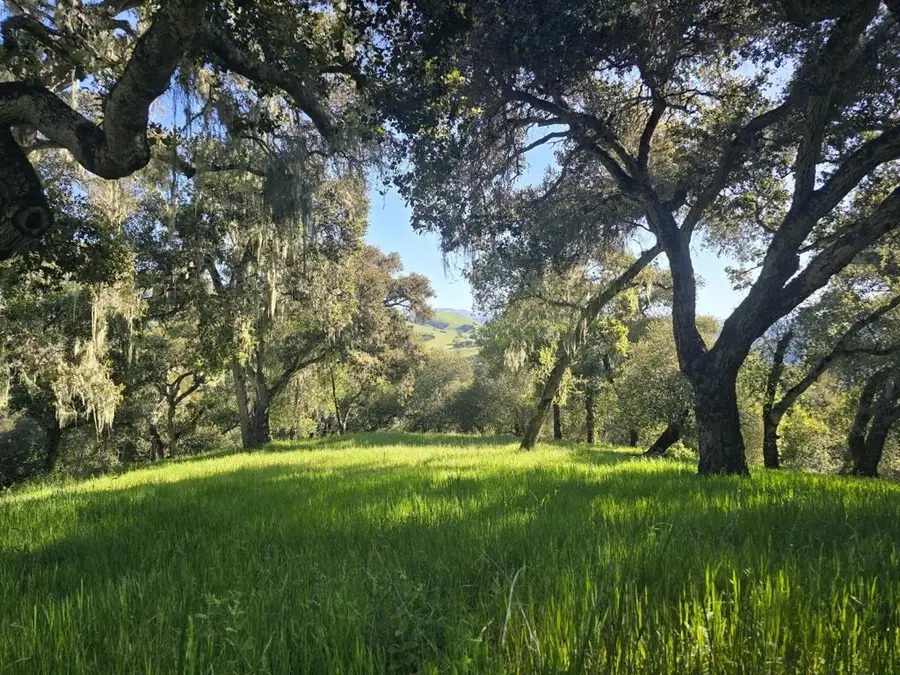 16 Sleepy Hollow Drive, Carmel Valley, CA 93924 - Image #3