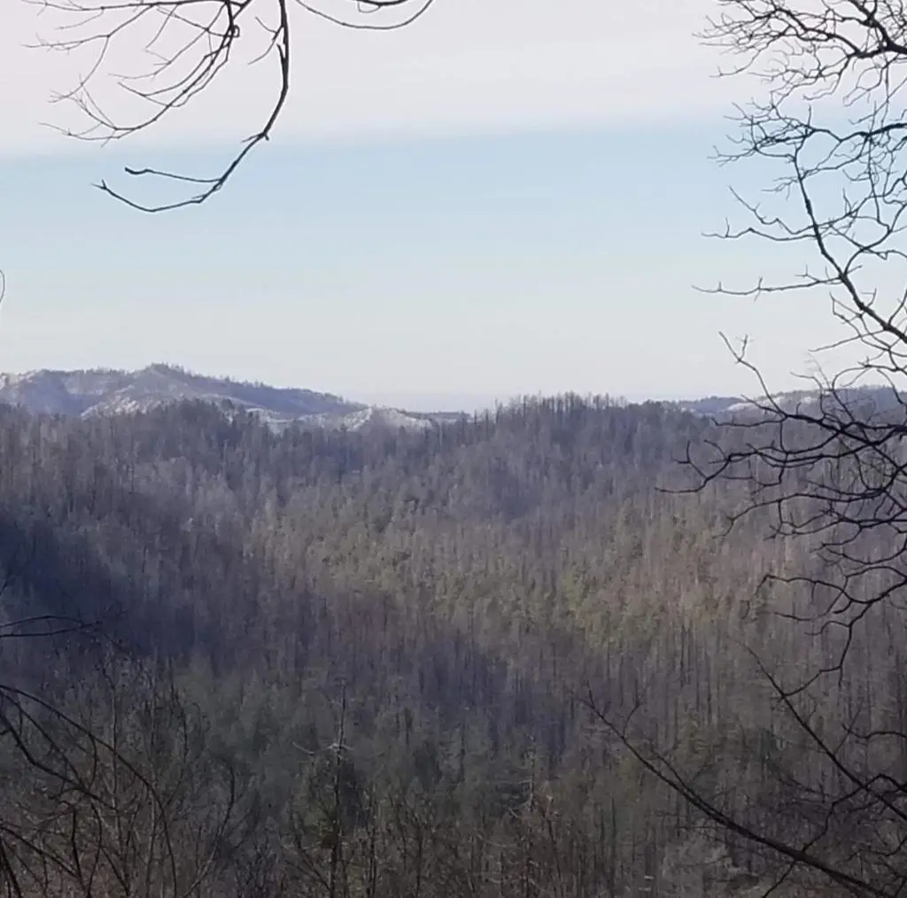 20604 Little Basin Road, Boulder Creek, CA 95006 - Image #1