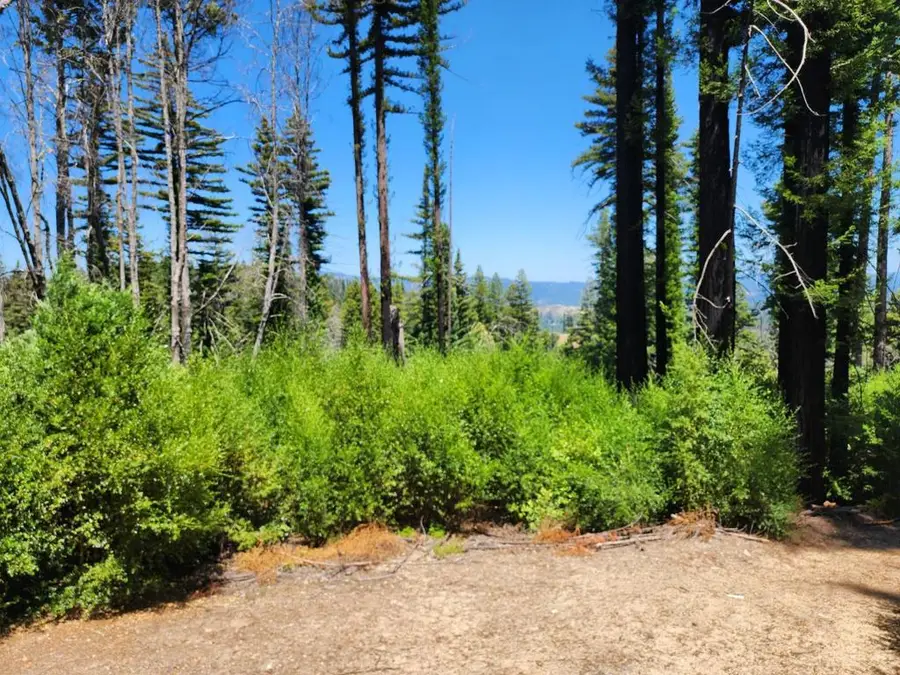 20604 Little Basin Road, Boulder Creek, CA 95006 - Image #3