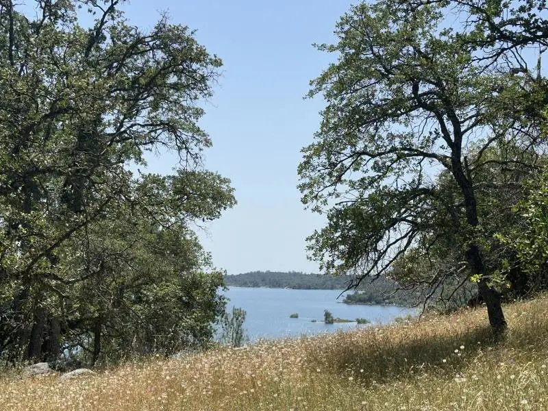 1119 Montauk Vista, Pilot Hill, CA 95664 - Image #1