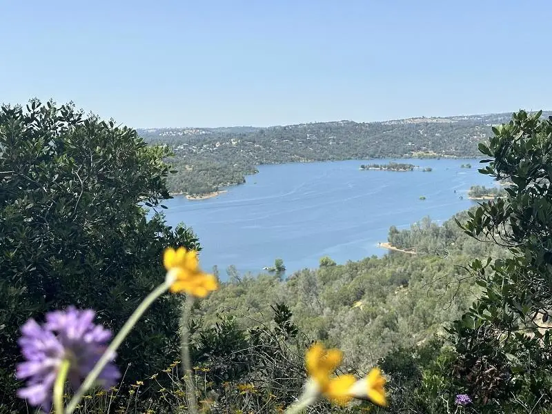 1119 Montauk Vista, Pilot Hill, CA 95664 - Image #3