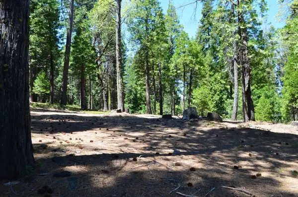 3112 Apache Road, Dorrington, CA 95223