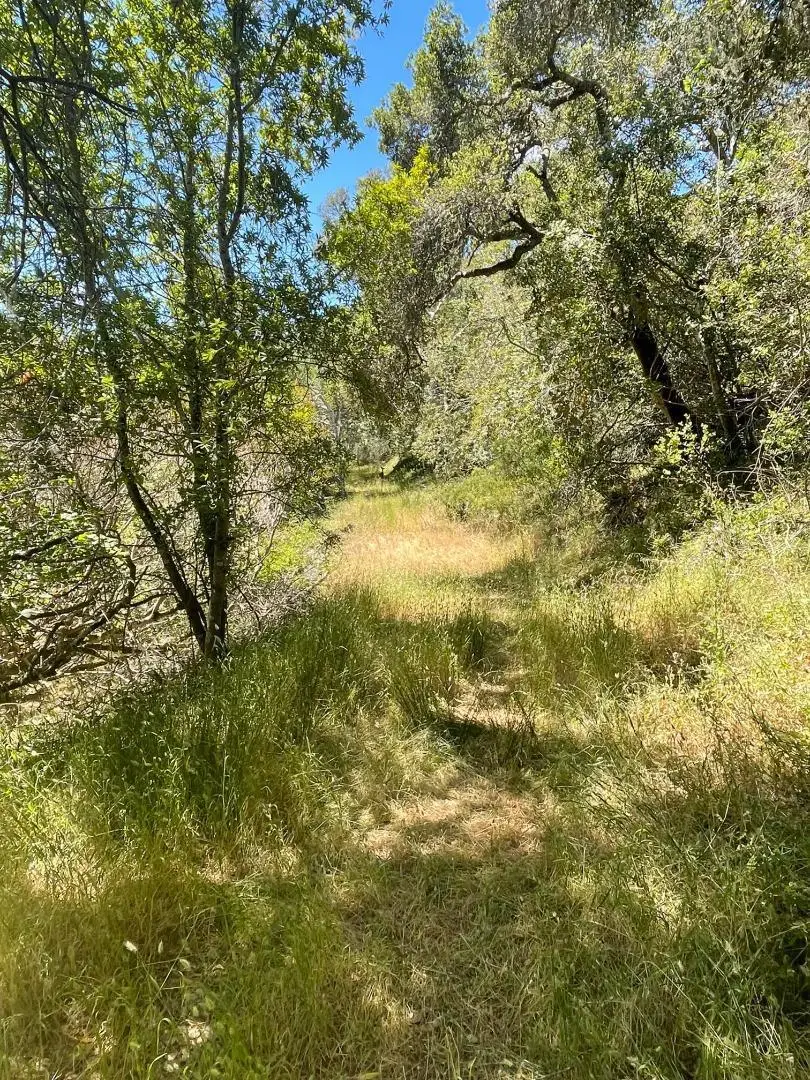 0 Crystal Springs Rd, Hillsborough, CA 94010 - Image #1