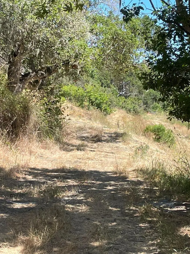0 Crystal Springs Rd, Hillsborough, CA 94010 - Image #3