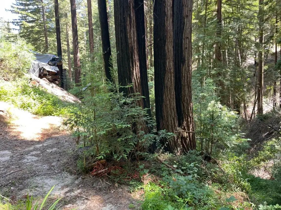 506 Sunset Road, Boulder Creek, CA 95006 - Image #2