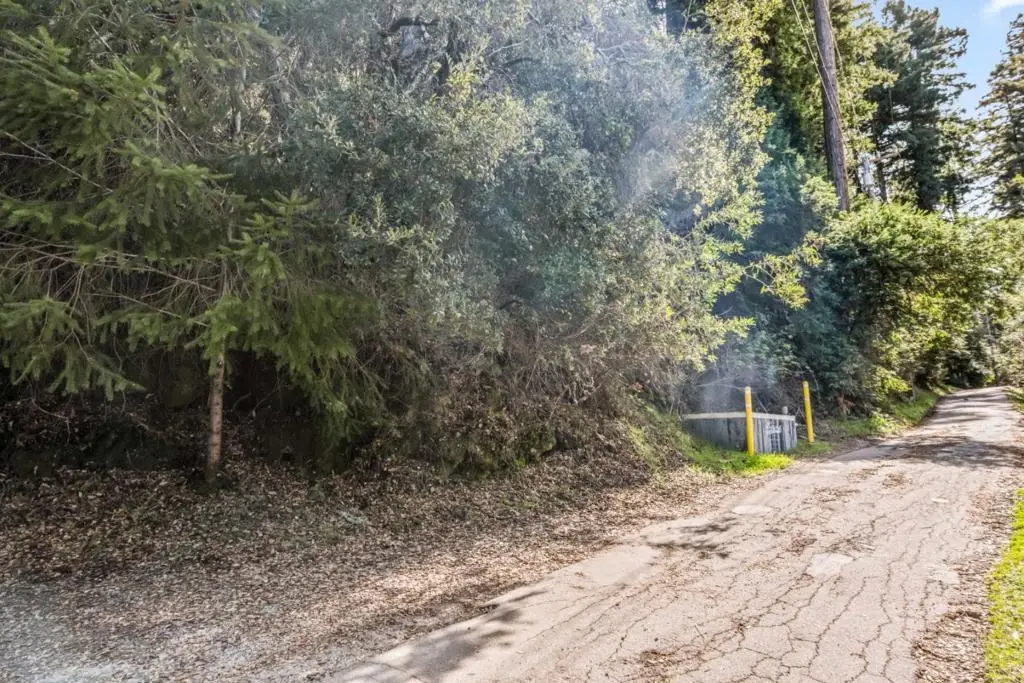 Lakeview Avenue, Felton, CA 95018 - #1
