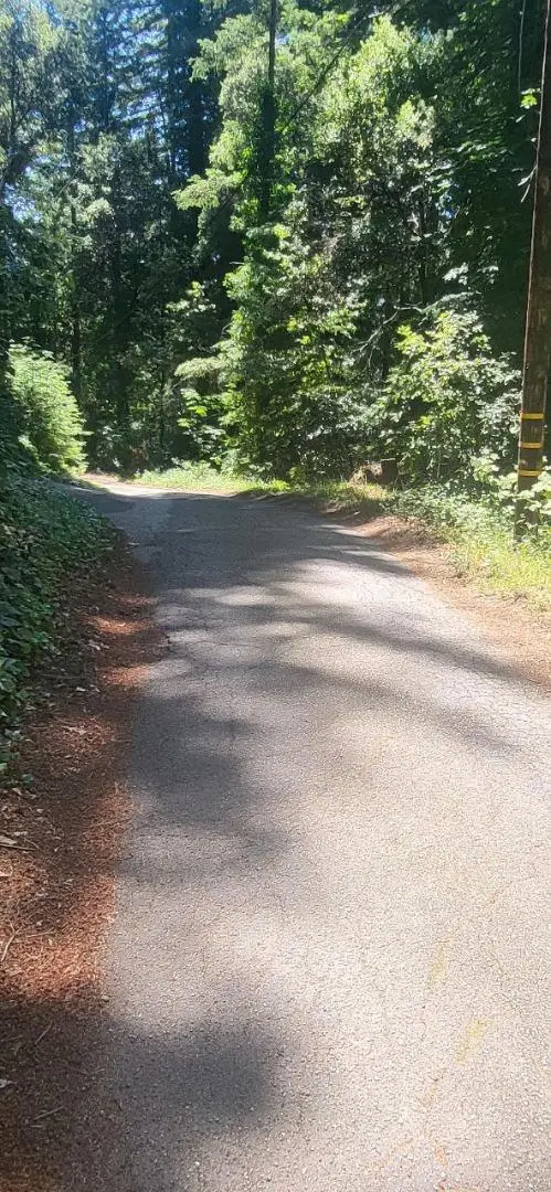 1080 Blue Ridge Drive, Boulder Creek, CA 95006 - Image #3