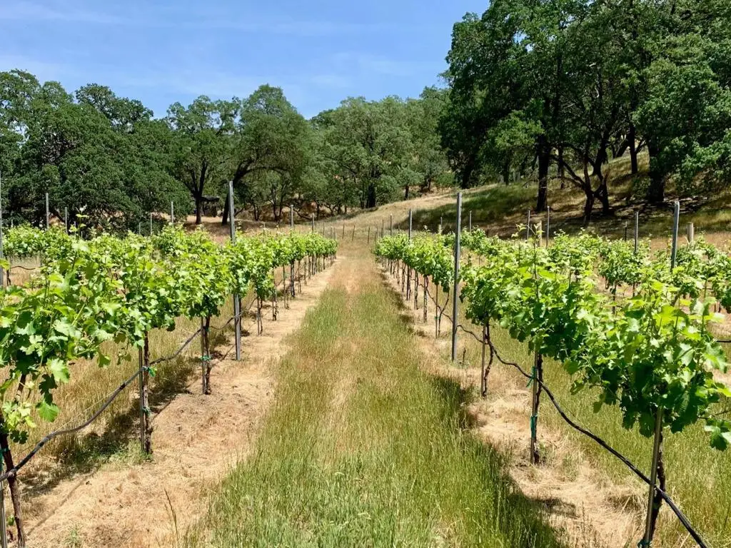 0 Hayes Lane, San Martin, CA 95046 - Image #1