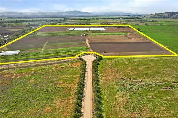 8100 Sofie Court, Hollister, CA 95023