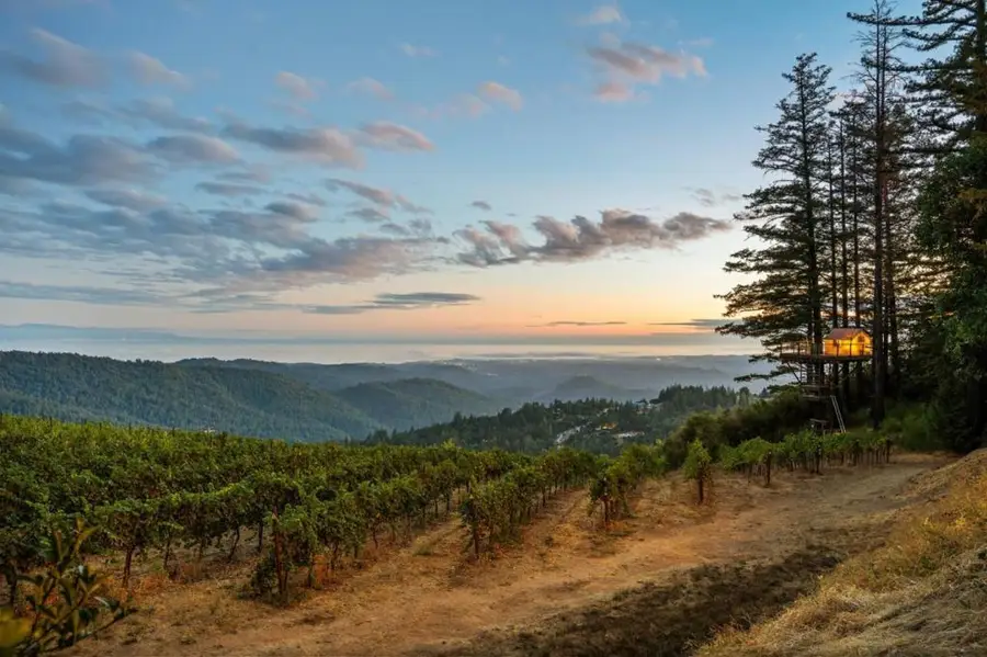 25200 Loma Prieta Avenue, Los Gatos, CA 95033 - Image #2