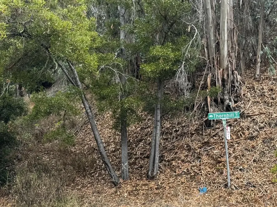 6595 Thornhill Drive, Oakland, CA 94611 - Image #2