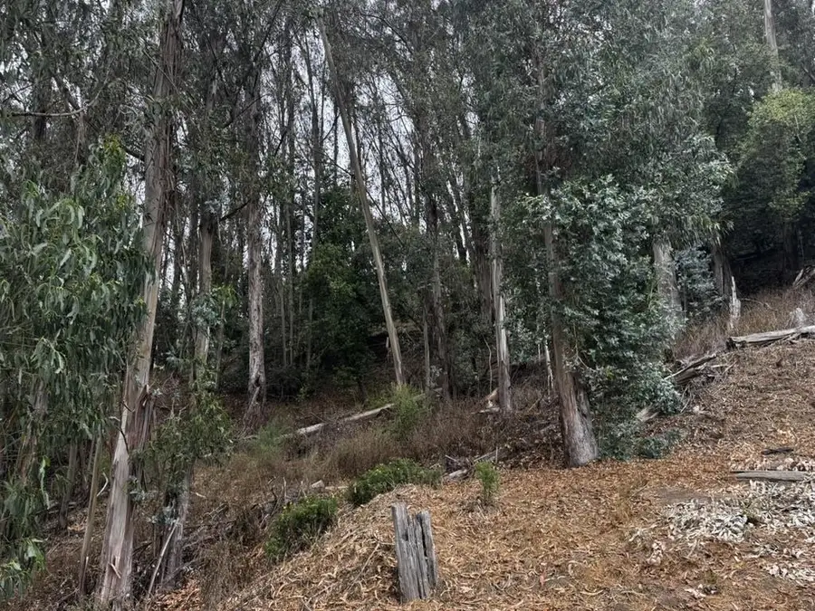 6595 Thornhill Drive, Oakland, CA 94611 - Image #3