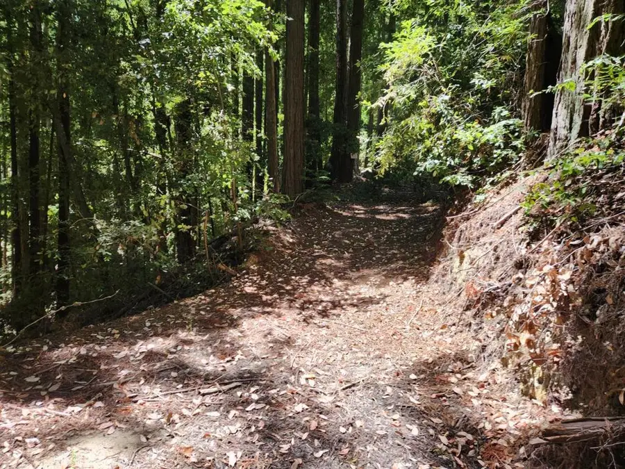 510 East Road, Boulder Creek, CA 95006 - Image #2