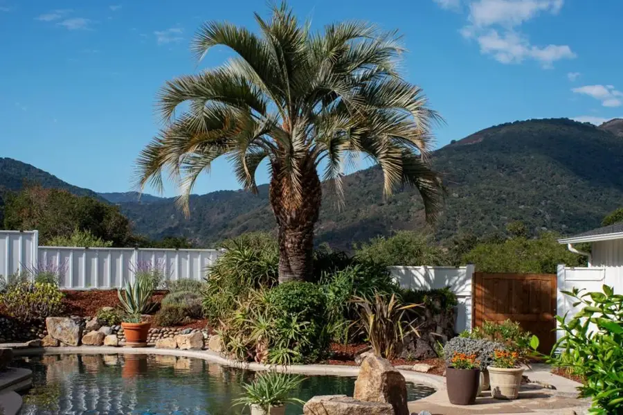 140 Terrace Way, Carmel Valley, CA 93924 - Image #2