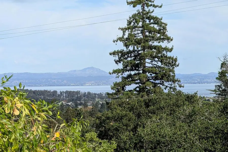 442 El Arroyo Road, Hillsborough, CA 94010 - Image #3