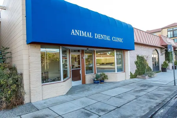 987 Laurel Street, San Carlos, CA 94070